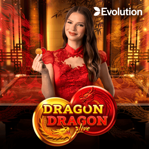 Dragon Dragon